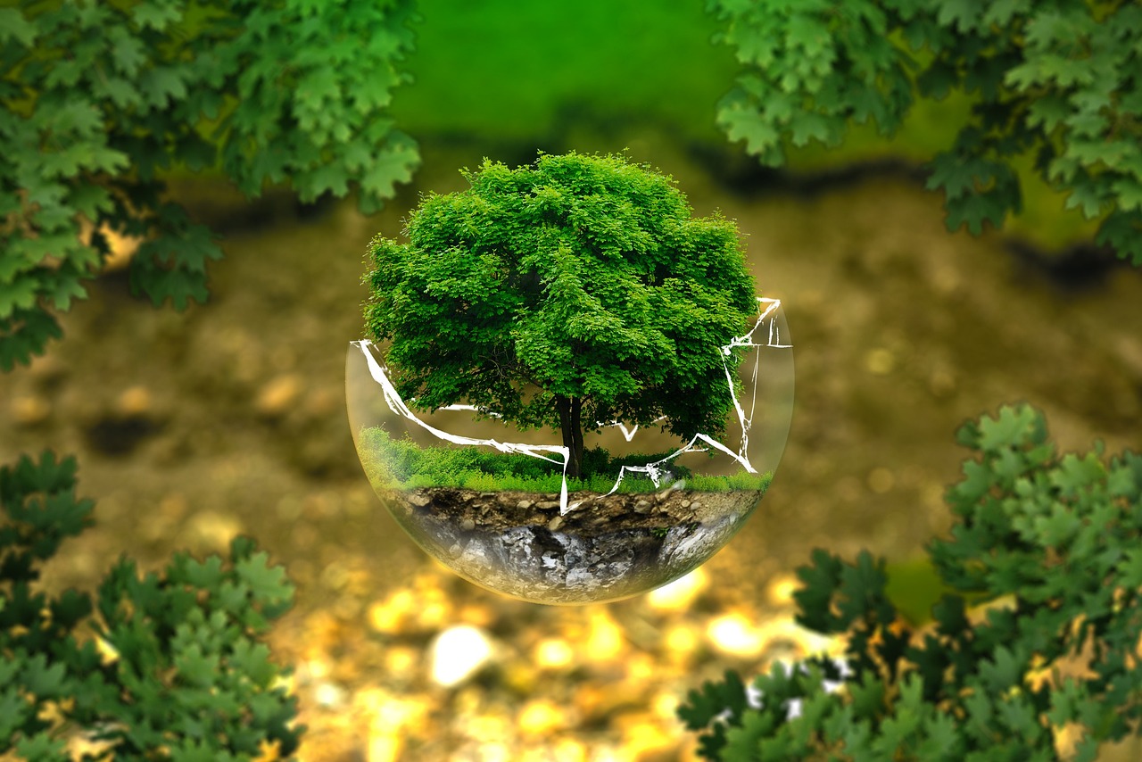 Environmental Studies